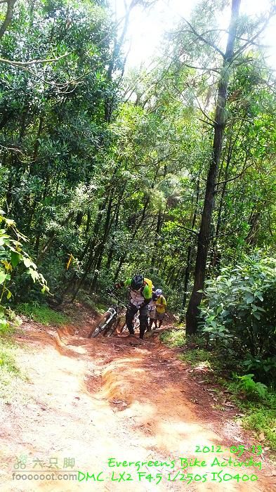 2012 05 13 荃錦坳、清快塘、小環塘、掃管笏P1460955