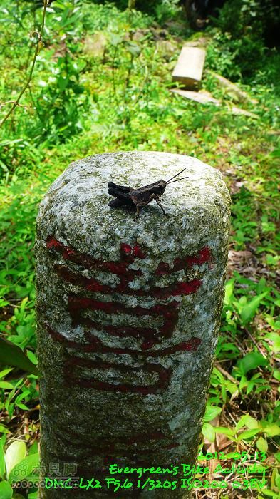 2012 05 13 荃錦坳、清快塘、小環塘、掃管笏P1460986