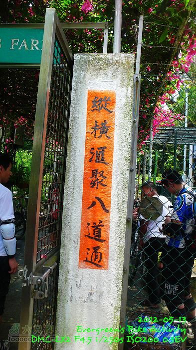 2012 05 13 荃錦坳、清快塘、小環塘、掃管笏P1460998