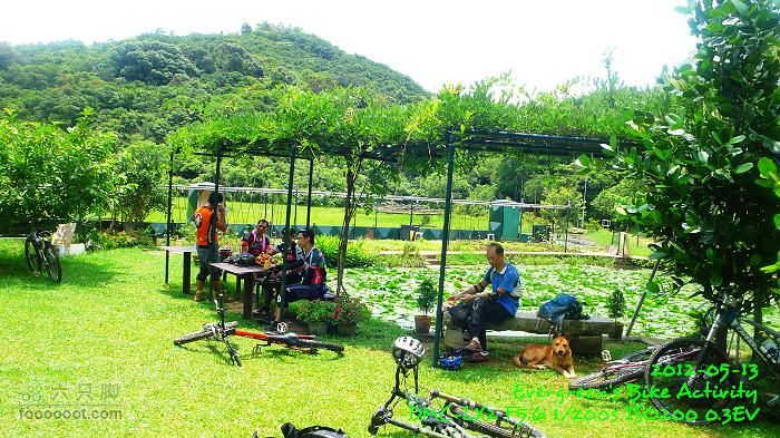 2012 05 13 荃錦坳、清快塘、小環塘、掃管笏P1470001