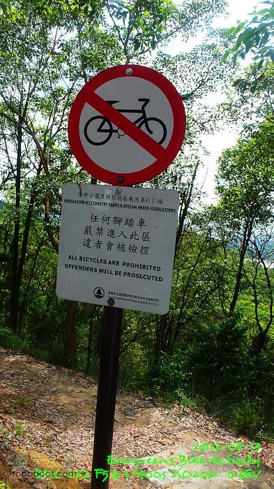 2012 05 13 荃錦坳、清快塘、小環塘、掃管笏P1470029
