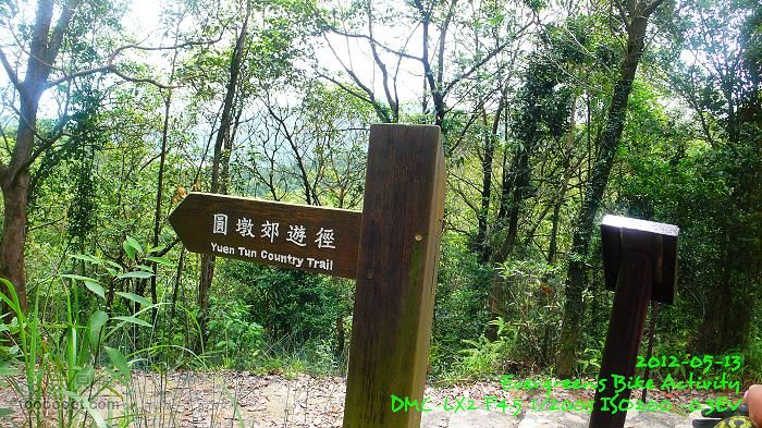 2012 05 13 荃錦坳、清快塘、小環塘、掃管笏P1470031