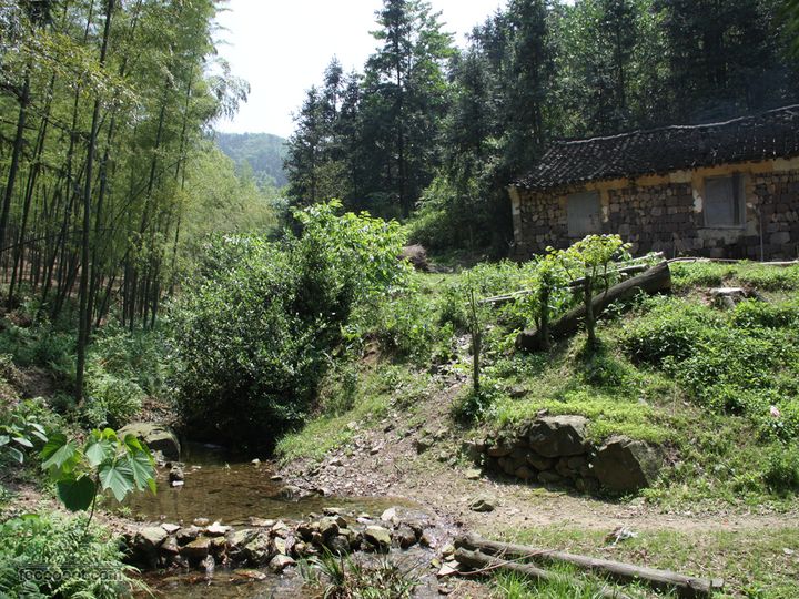 慈溪栲栳山