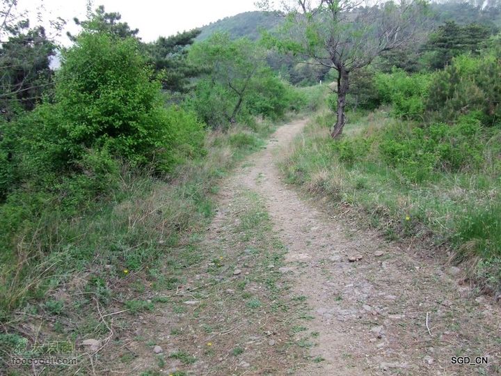 蟠龙山脊背行nEO_IMG_DSCF4372
