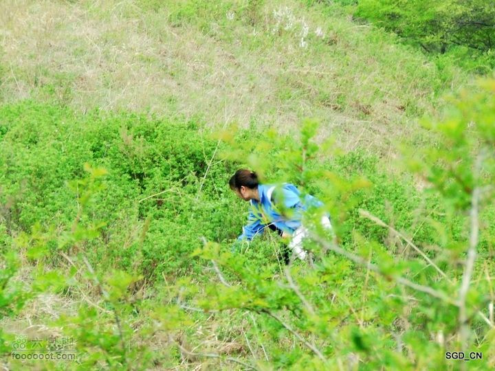 蟠龙山脊背行nEO_IMG_DSCF4300