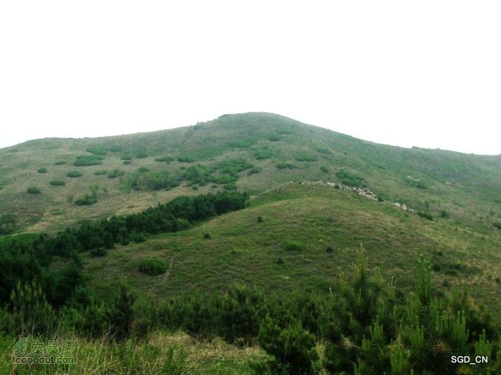 蟠龙山脊背行nEO_IMG_DSCF4306