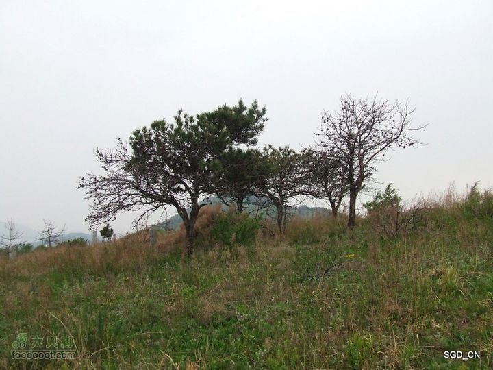 蟠龙山脊背行nEO_IMG_DSCF4317