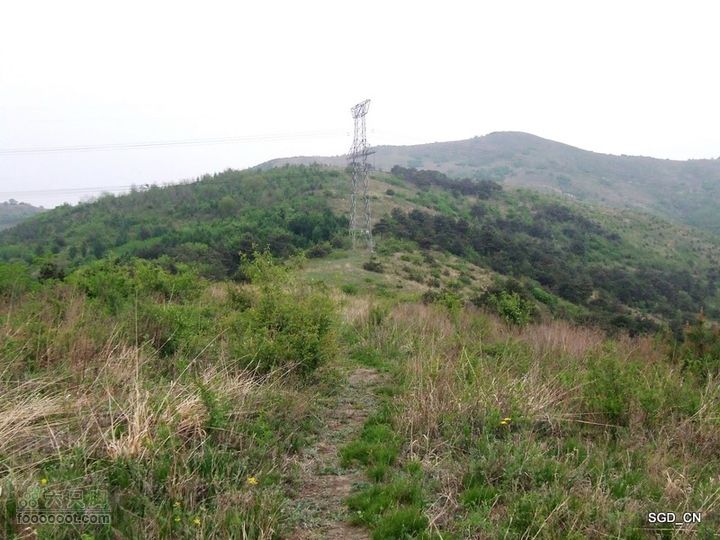 蟠龙山脊背行nEO_IMG_DSCF4326