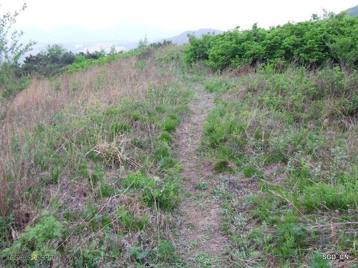 蟠龙山脊背行nEO_IMG_DSCF4327