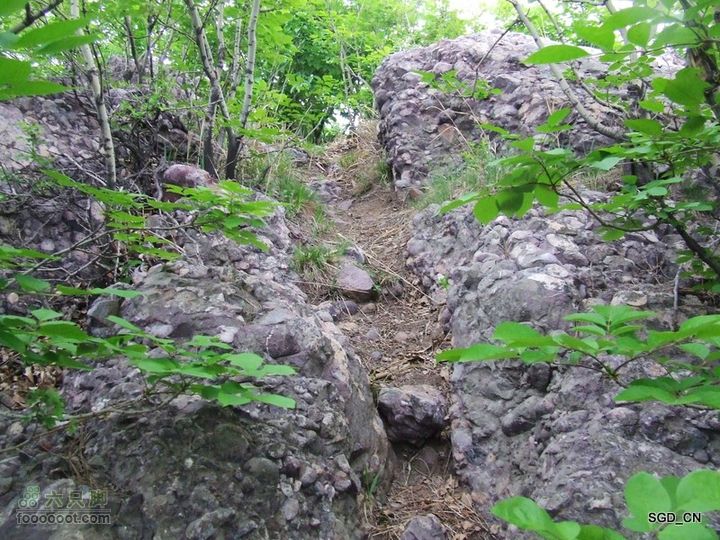 蟠龙山脊背行nEO_IMG_DSCF4361