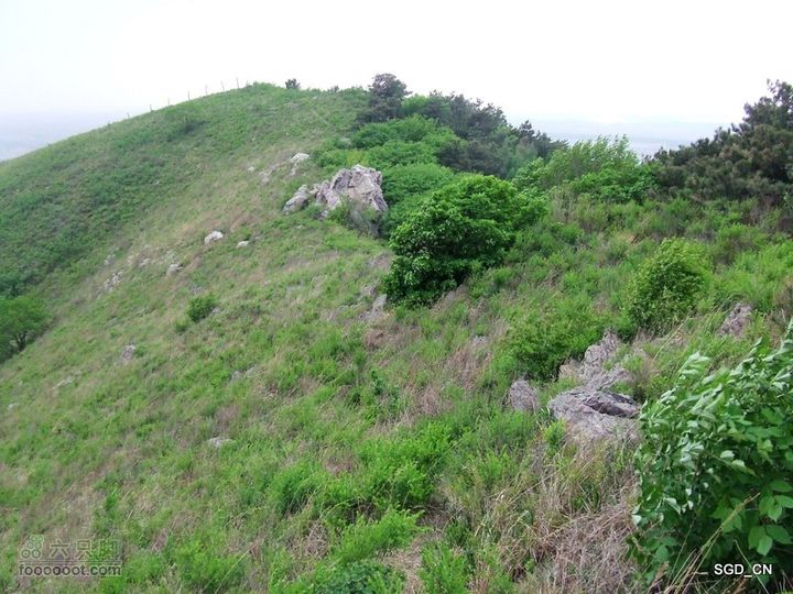 蟠龙山脊背行nEO_IMG_DSCF4363