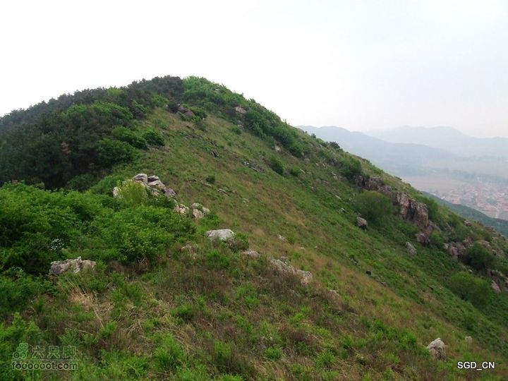 蟠龙山脊背行nEO_IMG_DSCF4365