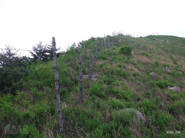 蟠龙山脊背行nEO_IMG_DSCF4367