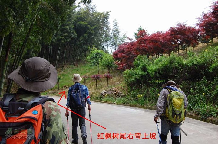 上古山-观顶-绝望坡-乌坑-陶坑-蟠溪到红枫林尾部上坡去绝望坡