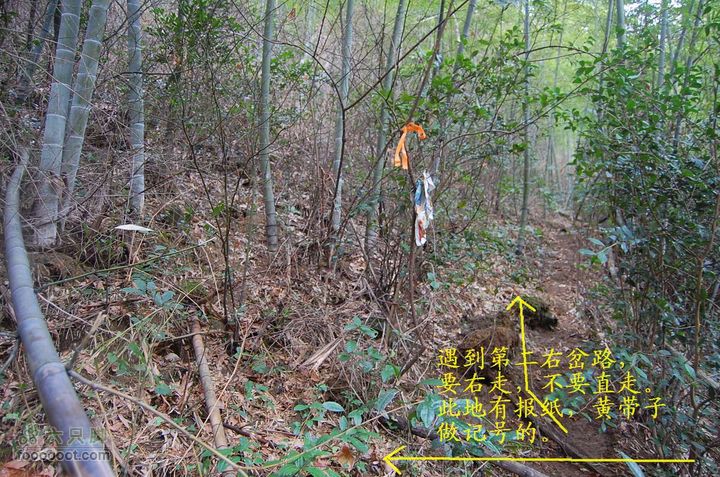 上古山-观顶-绝望坡-乌坑-陶坑-蟠溪茶圆第2个右弯上山