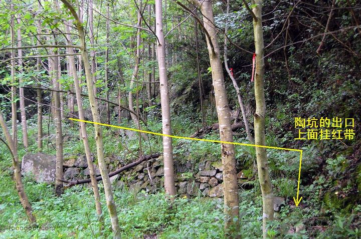 上古山-观顶-绝望坡-乌坑-陶坑-蟠溪29