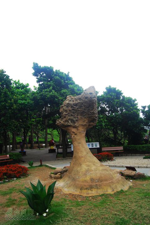 台灣分段環島騎行之基隆至淡水DSC_6891