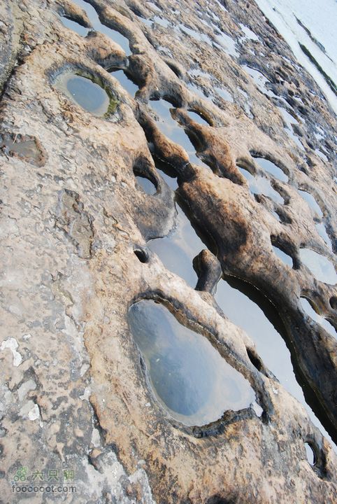 台灣分段環島騎行之基隆至淡水DSC_6893