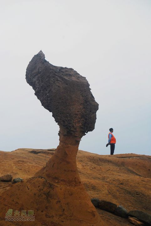台灣分段環島騎行之基隆至淡水DSC_6909