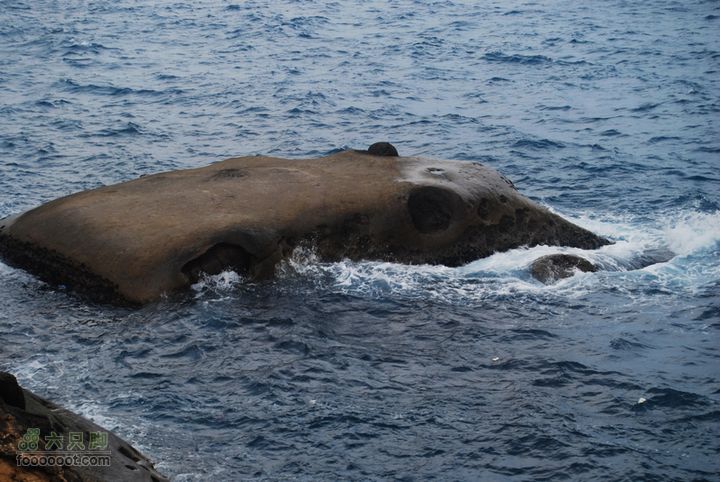 台灣分段環島騎行之基隆至淡水DSC_6929