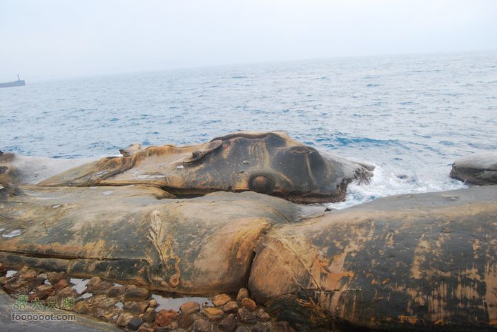 台灣分段環島騎行之基隆至淡水DSC_6933