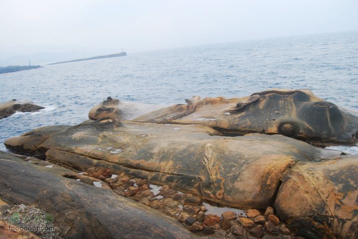 台灣分段環島騎行之基隆至淡水DSC_6939