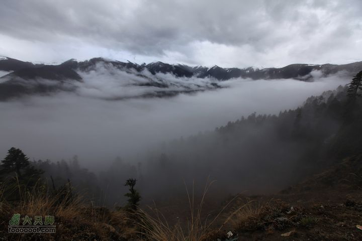 2012.5.15然乌-林芝IMG_0008