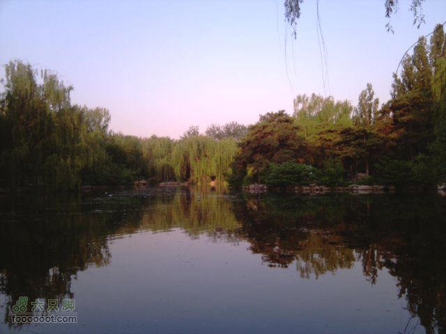 北京动物园晨练照片7