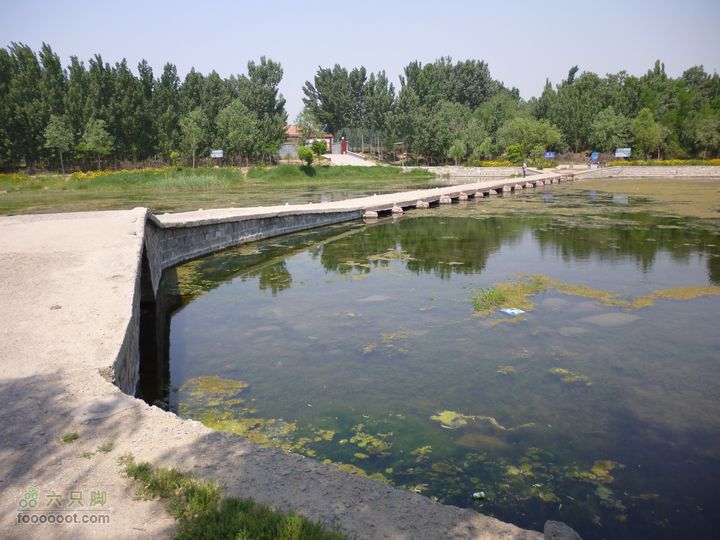 范阳河湿地P1000265