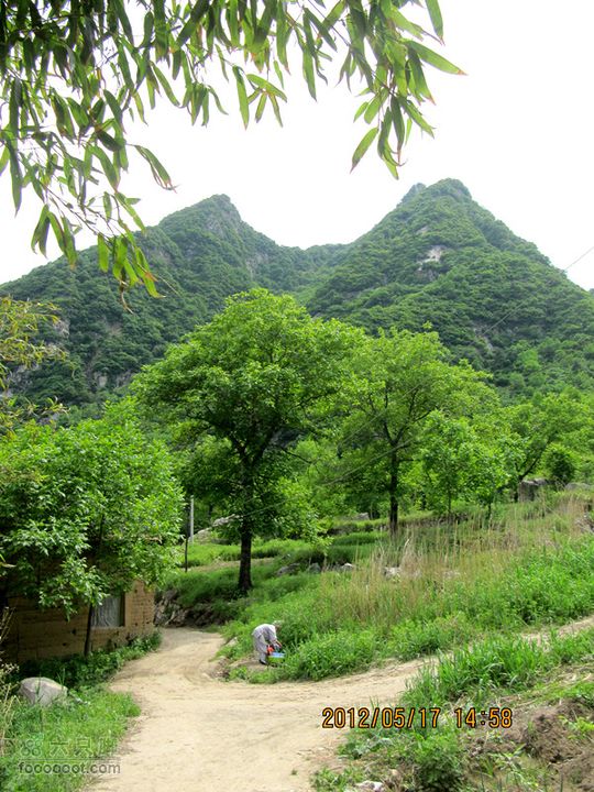 5.17 休闲西翠花2012.5.17 西翠花 080_副本