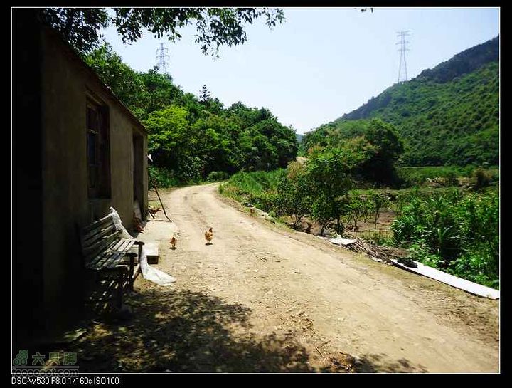 南洞茶人谷骑行（号称东海大峡谷）DSC00052