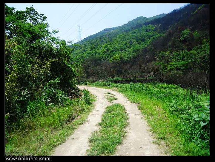 南洞茶人谷骑行（号称东海大峡谷）DSC00054