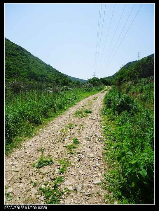 南洞茶人谷骑行（号称东海大峡谷）DSC00055