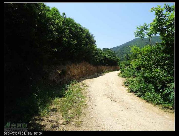 南洞茶人谷骑行（号称东海大峡谷）DSC00062