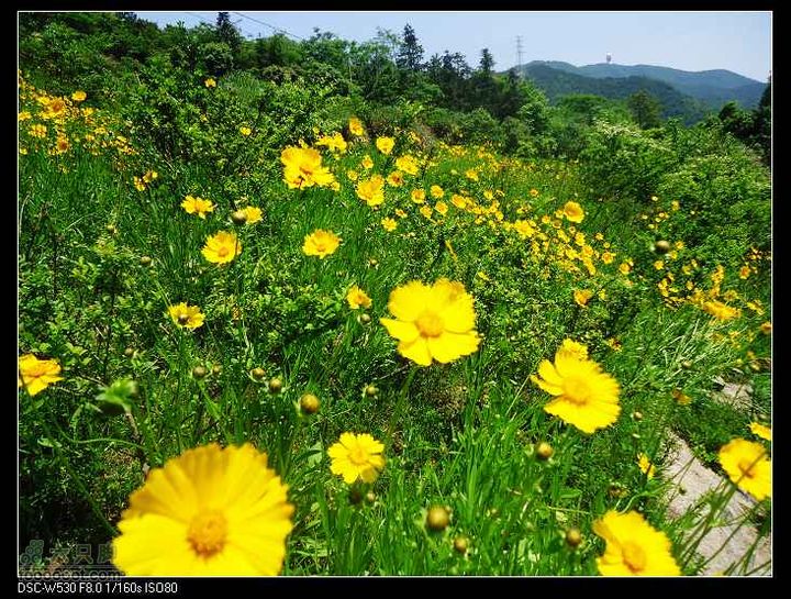 南洞茶人谷骑行（号称东海大峡谷）DSC00066