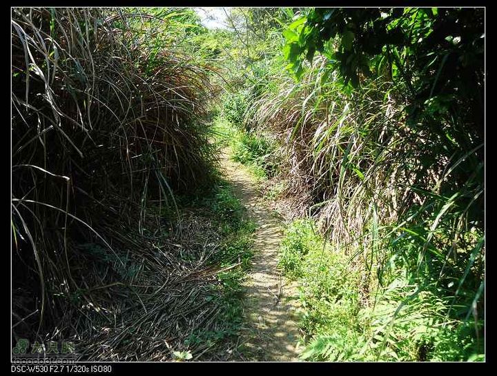 南洞茶人谷骑行（号称东海大峡谷）DSC00090