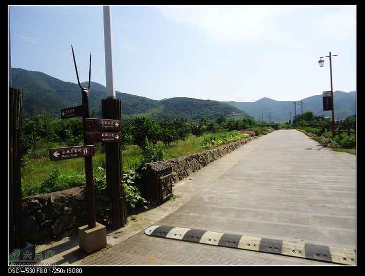 南洞茶人谷骑行（号称东海大峡谷）DSC00107