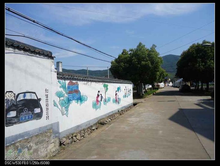 南洞茶人谷骑行（号称东海大峡谷）DSC00109