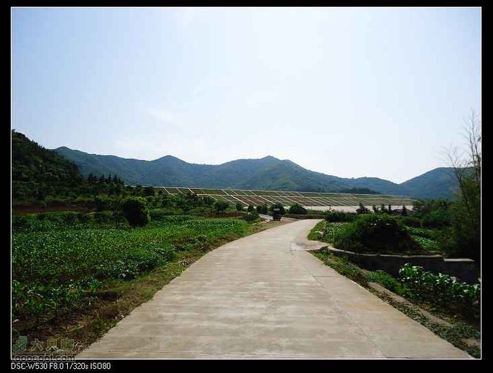 南洞茶人谷骑行（号称东海大峡谷）DSC00111