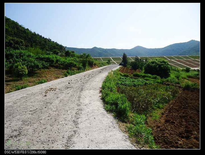 南洞茶人谷骑行（号称东海大峡谷）DSC00112