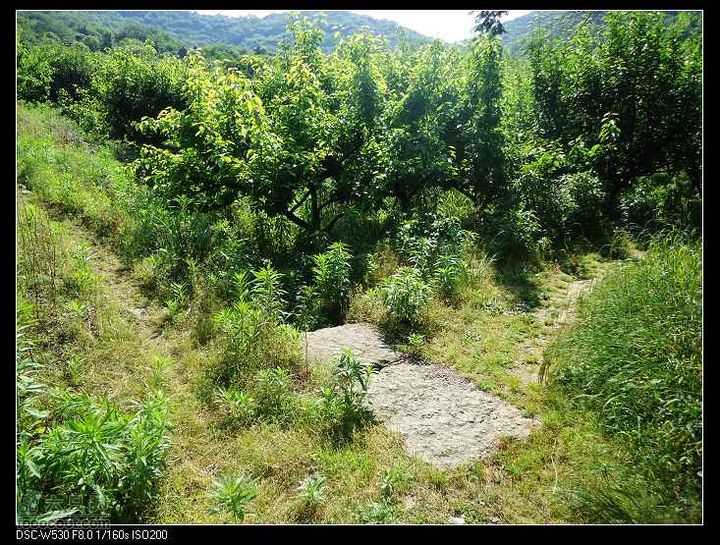 南洞茶人谷骑行（号称东海大峡谷）DSC00125