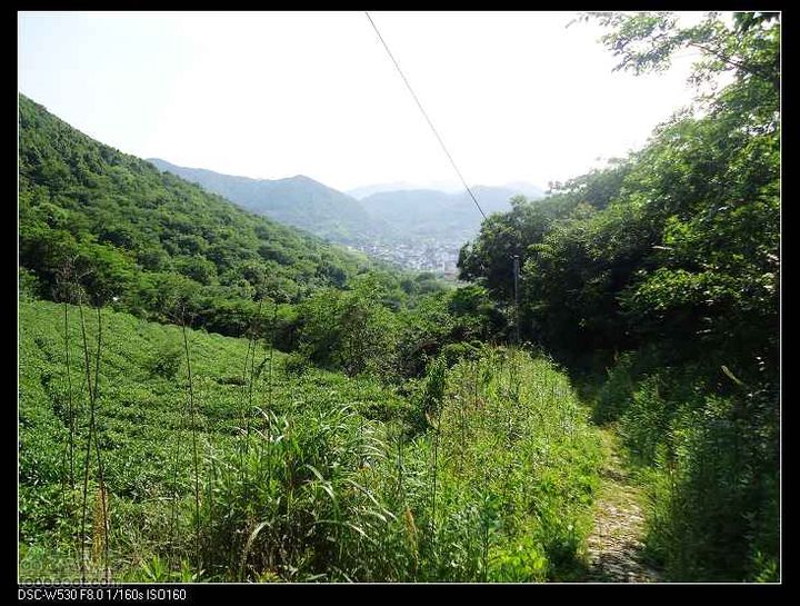 南洞茶人谷骑行（号称东海大峡谷）DSC00133
