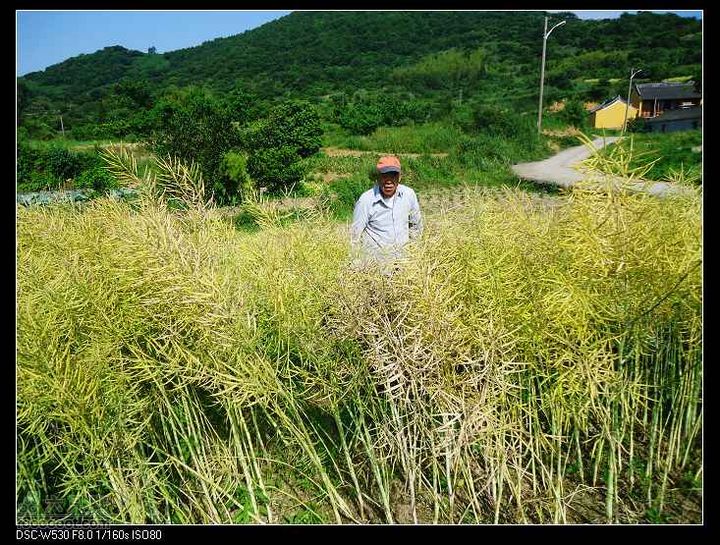 南洞茶人谷骑行（号称东海大峡谷）DSC00141