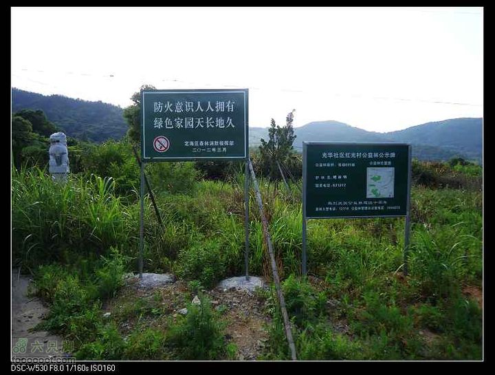 南洞茶人谷骑行（号称东海大峡谷）DSC00146
