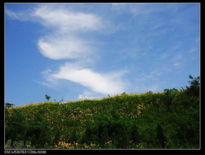 南洞茶人谷骑行（号称东海大峡谷）DSC00149