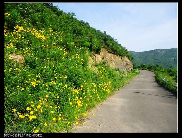 南洞茶人谷骑行（号称东海大峡谷）DSC00157