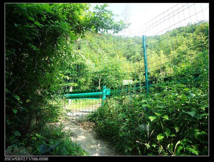 南洞茶人谷骑行（号称东海大峡谷）DSC00165