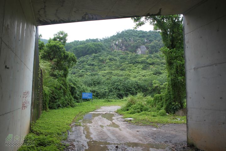 金龟村马峦山摘杨梅V行程即将结束