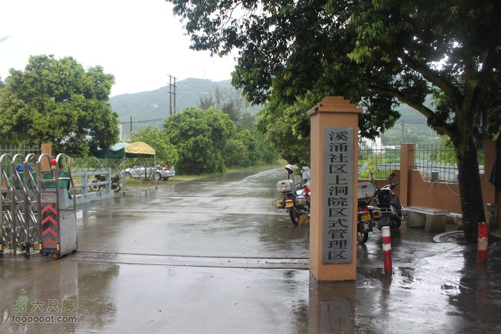 金龟村马峦山摘杨梅V上洞社区