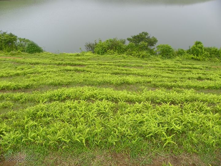 莆田大洋乡－永泰斗湖天池（往返）2012_0526_151130